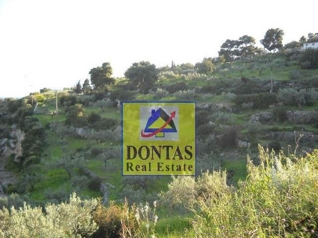 Land in Spetses, Attika, Griechenland 2 - 16155617