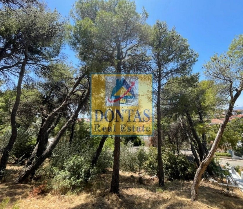 Land in Penteli, Attica, Greece 2 - 16156068