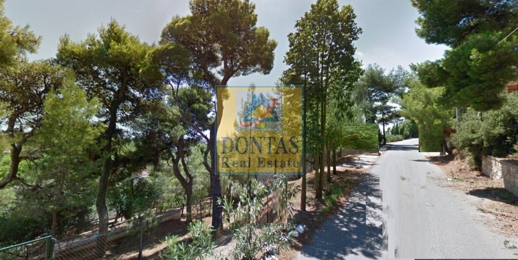 Land in Penteli, Attica, Greece 1 - 16155449