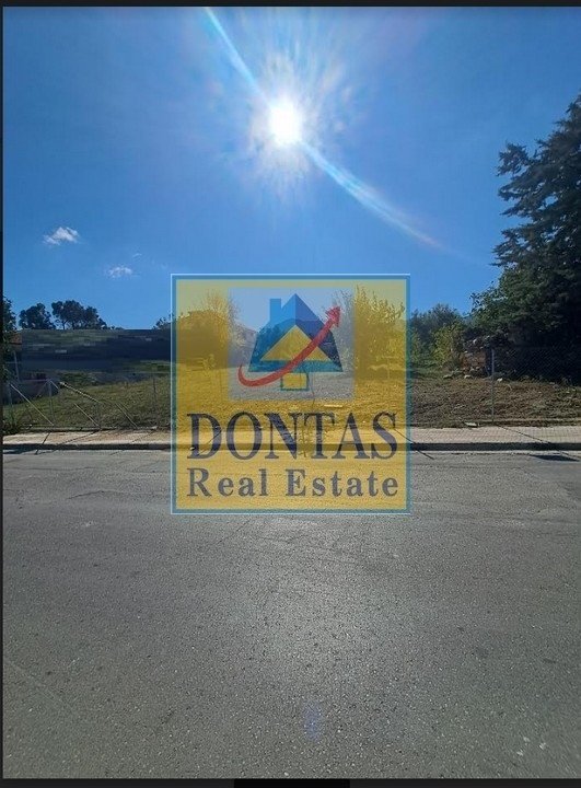 Land in Dionysos, Attica, Greece 2 - 16155464