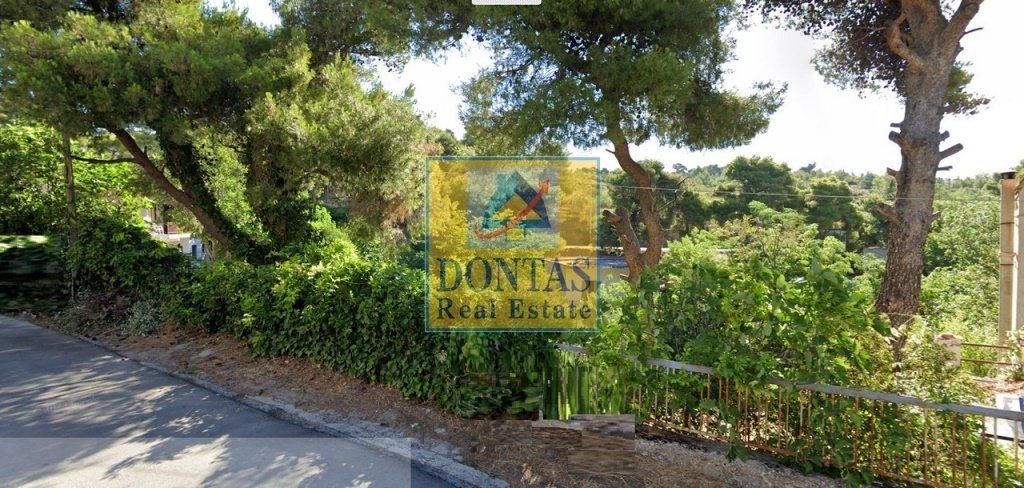 Land in Penteli, Attica, Greece 1 - 16155673