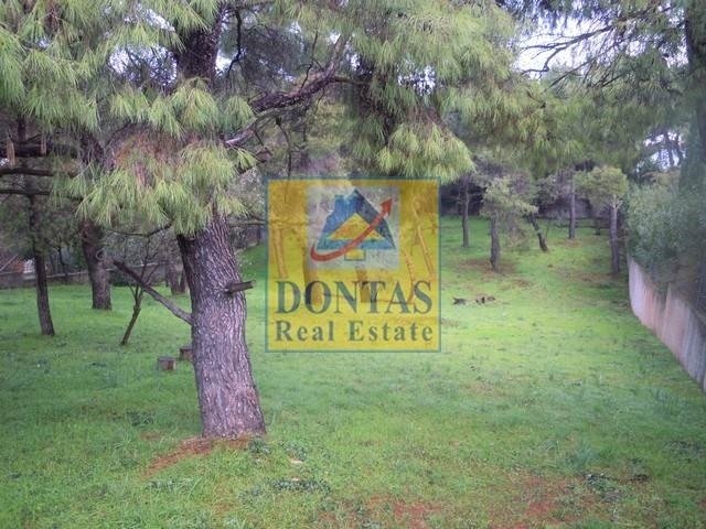 Land in Ekali, Attica, Greece 4 - 16155604