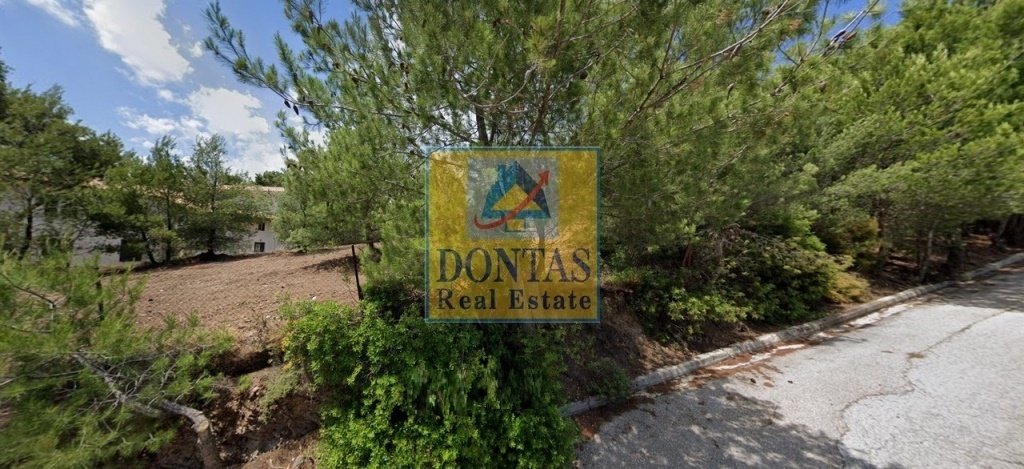 Land in Penteli, Attica, Greece 2 - 16155932