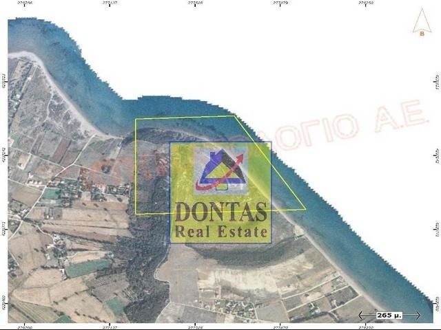 Land in Lakkopetras, Larissos, Peloponnese, Western Greece and the Ionian 5 - 16155612