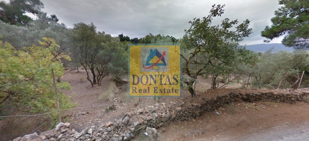 Land in Chios, Aegean, Greece 4 - 16155482