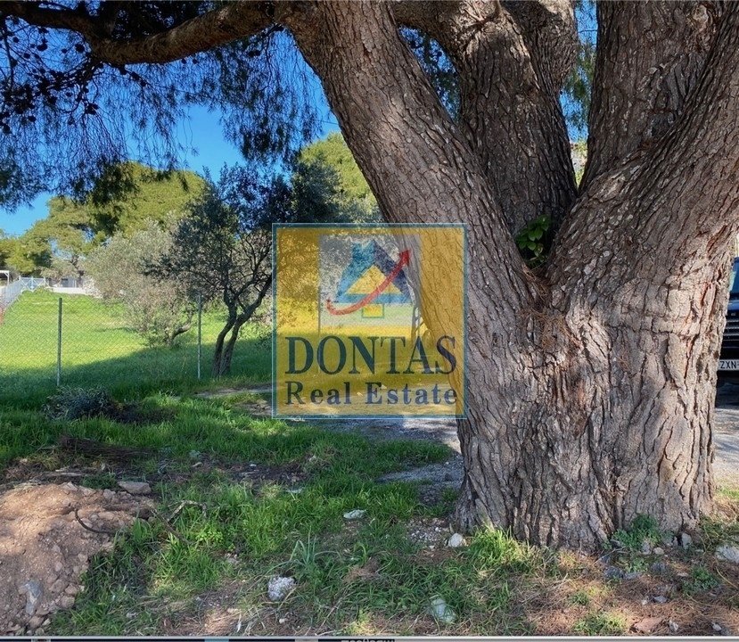 Land in Melissia, Attica, Greece 4 - 16155585