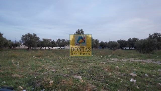 Land in Acharnes, Attica, Greece 5 - 16155940