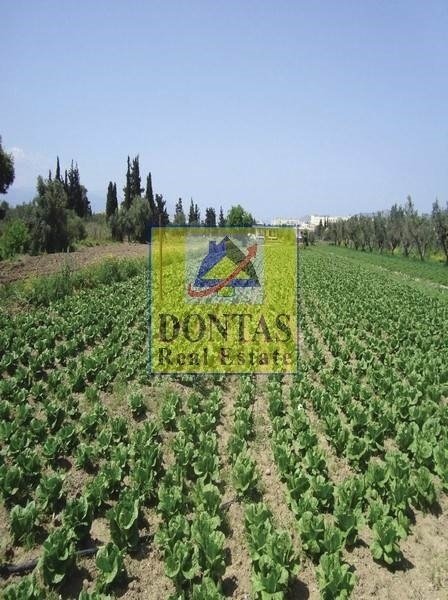 Land in Community of Loutraki - Perachora, Loutraki - Perachora, Greece 3 - 16155685