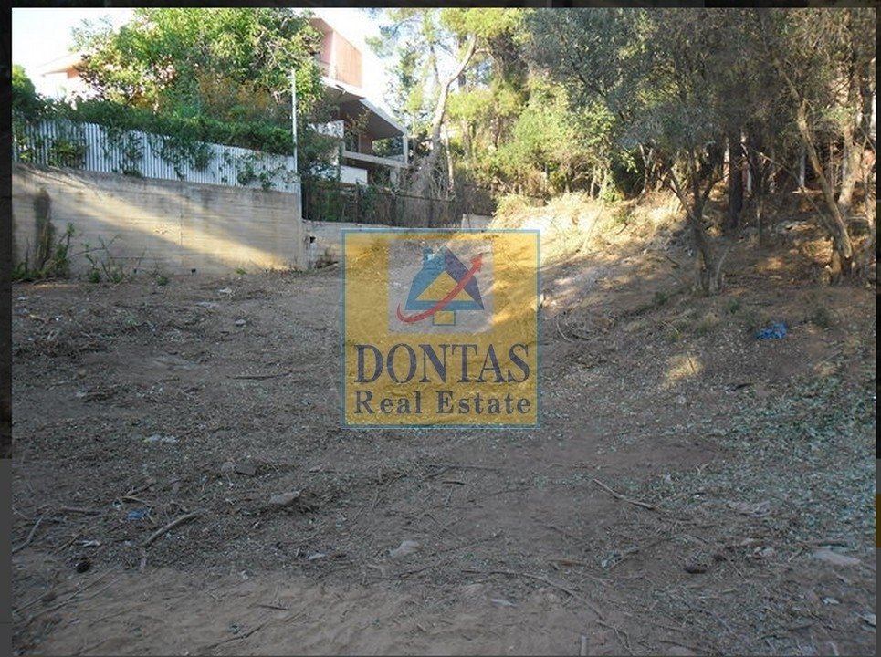 Land in Penteli, Attica, Greece 2 - 16155452