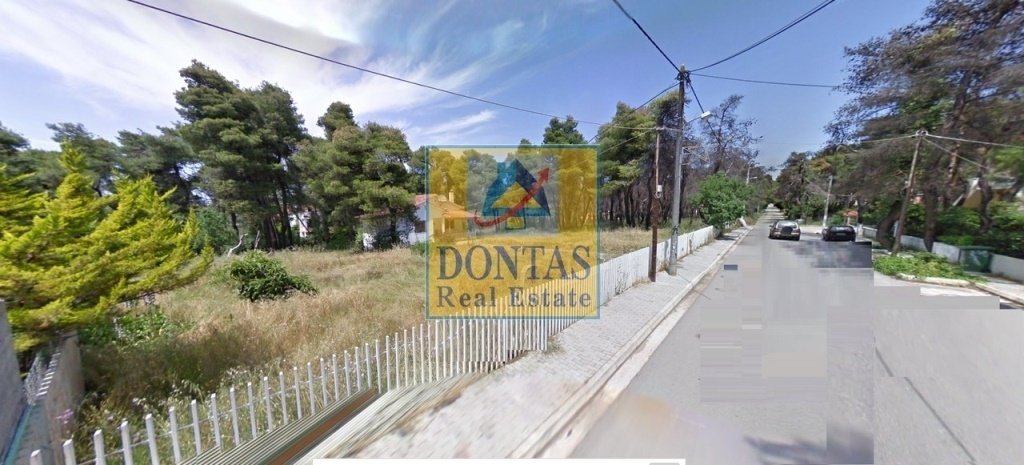 Land in Dionysos, Attica, Greece 1 - 16155853