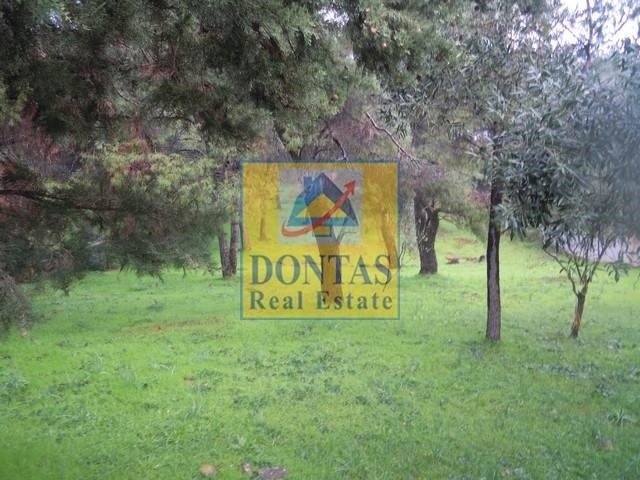 Land in Ekali, Attica, Greece 2 - 16155604