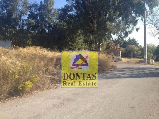 Land in Oropos, Attica, Greece 5 - 16155934