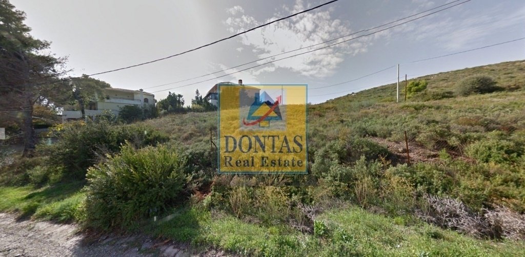 Land in Penteli, Attica, Greece 5 - 16155699