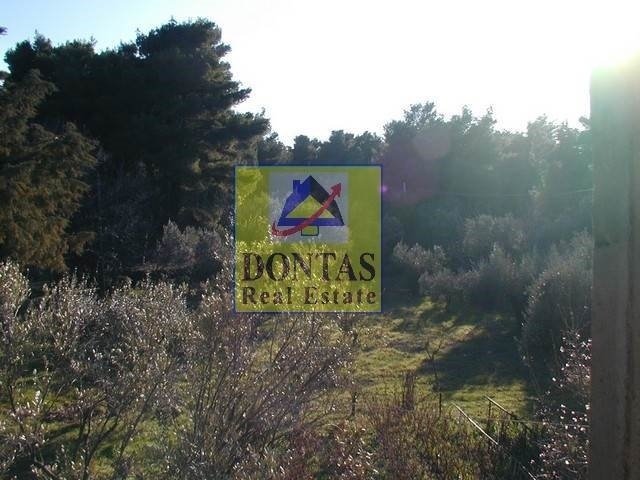 Land in Ekali, Attica, Greece 3 - 16155556