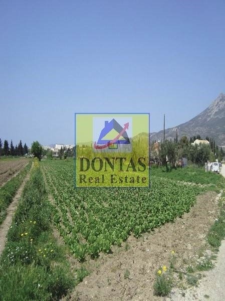 Land in Community of Loutraki - Perachora, Loutraki - Perachora, Greece 5 - 16155685