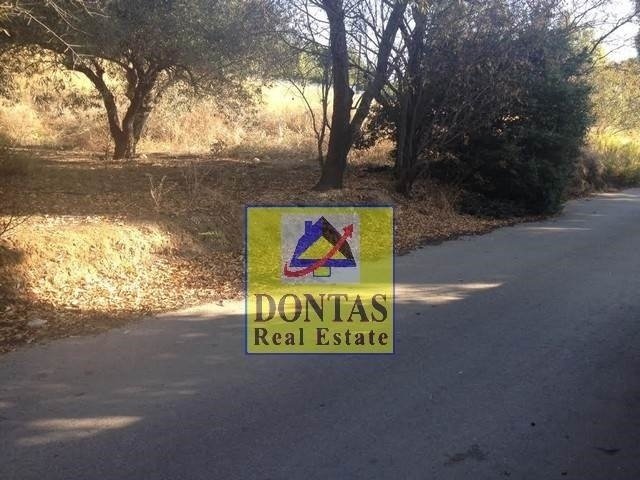 Land in Oropos, Attica, Greece 2 - 16155934