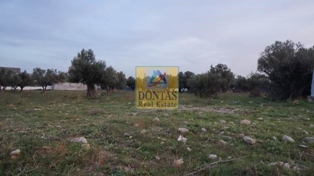 Land in Acharnes, Attica, Greece 1 - 16155940