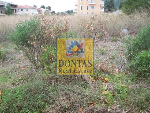 Land in Dionysos, Attica, Greece 5 - 16155737