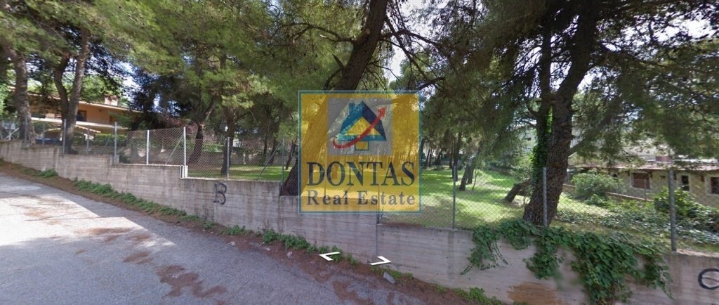Land in Dionysos, Attica, Greece 1 - 16155476