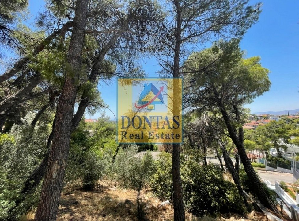 Land in Penteli, Attica, Greece 5 - 16156068