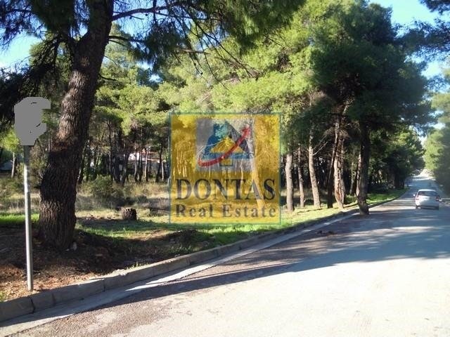 Land in Dionysos, Attica, Greece 2 - 16155696