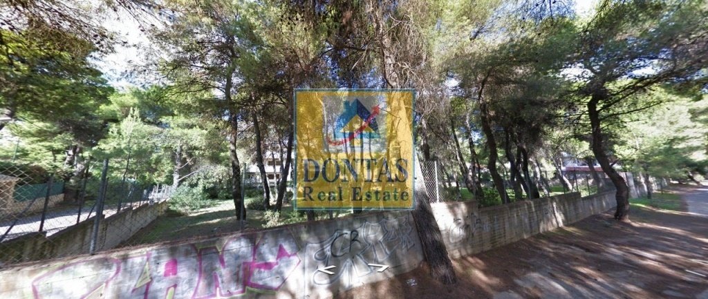 Land in Dionysos, Attica, Greece 2 - 16155476