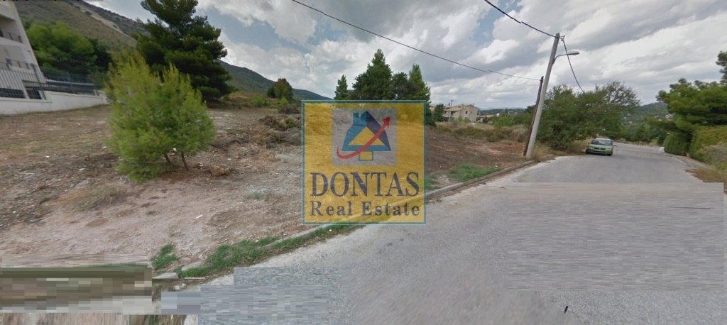 Land in Dionysos, Attica, Greece 2 - 16156070