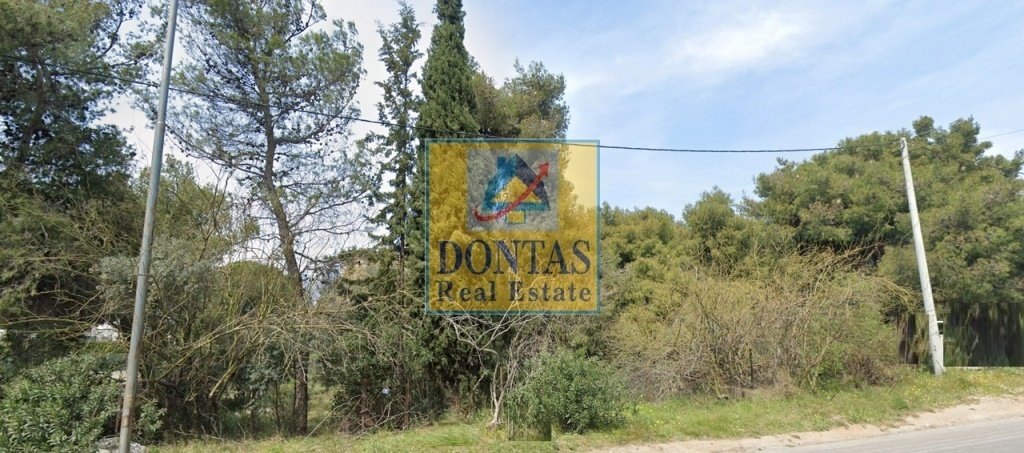 Land in Ekali, Attica, Greece 4 - 16155518