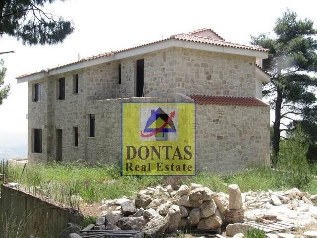 House in Oropos, Attica, Greece 1 - 16155492