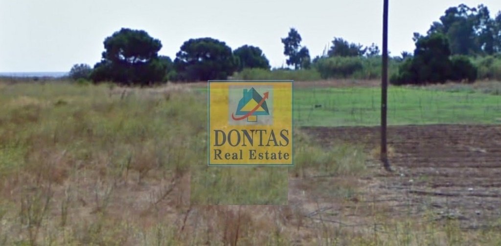Land in Marathonas, Attica, Greece 3 - 16155632