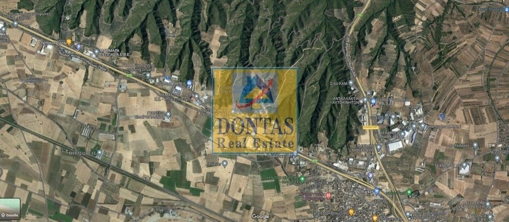 Land in Sximatariou, Thessaly and Central Greece, Greece 4 - 16155500
