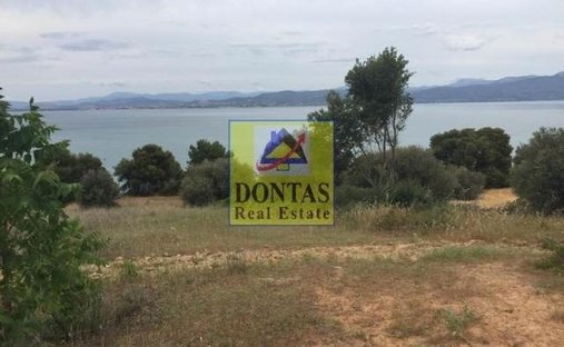 Land in Sximatariou, Thessaly and Central Greece, Griechenland 1