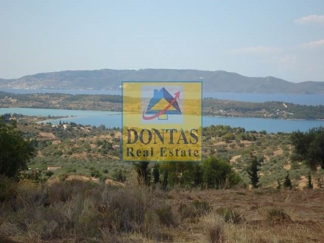 Land in Koinotita Kranidiou, Kranidi, Greece 1 - 16155703
