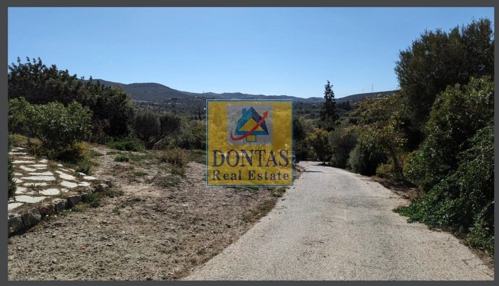 Land in Keratea, Attica, Greece 5 - 16155666