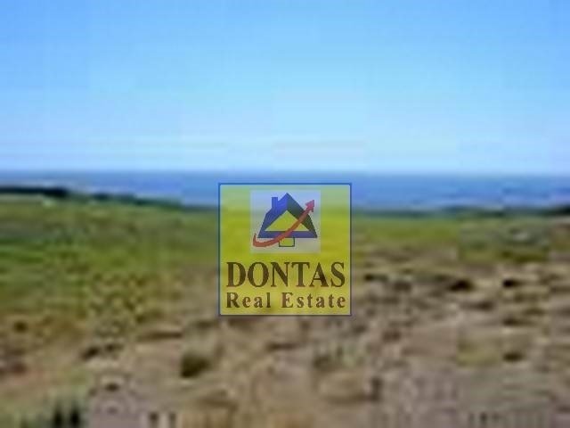 Land in Western Lesvos, Aegean, Greece 1 - 16156077