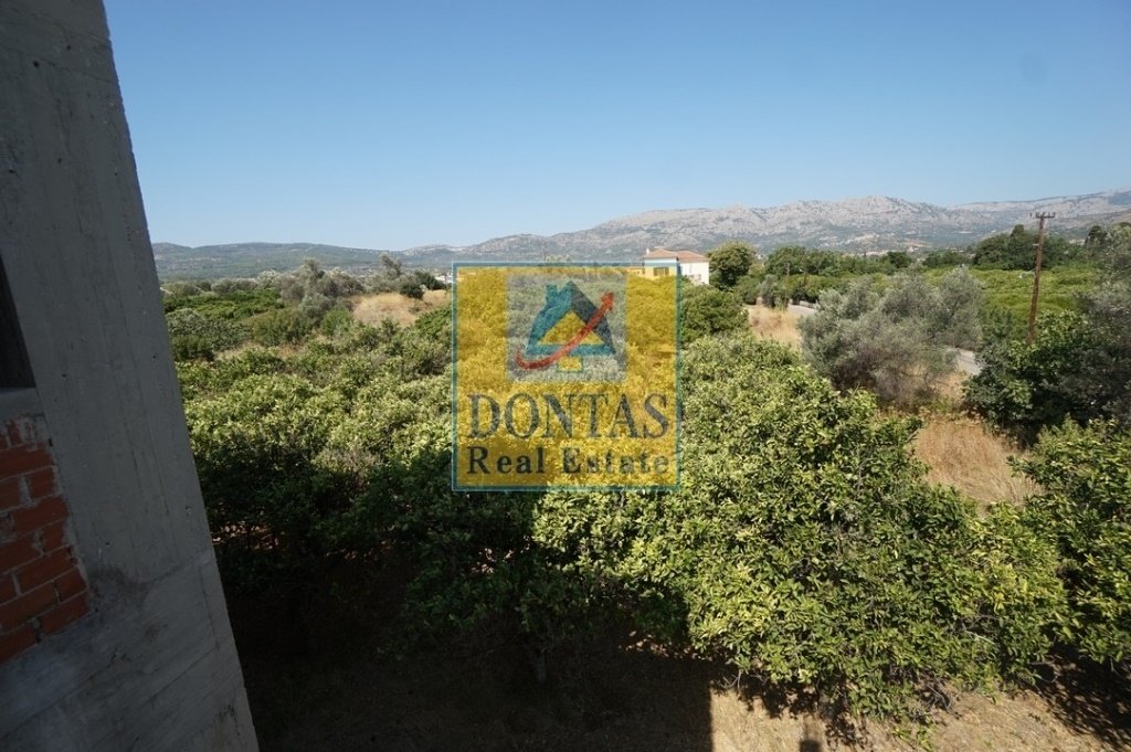 Land in Lakkopetras, Larissos, Peloponnese, Western Greece and the Ionian 4 - 16155650
