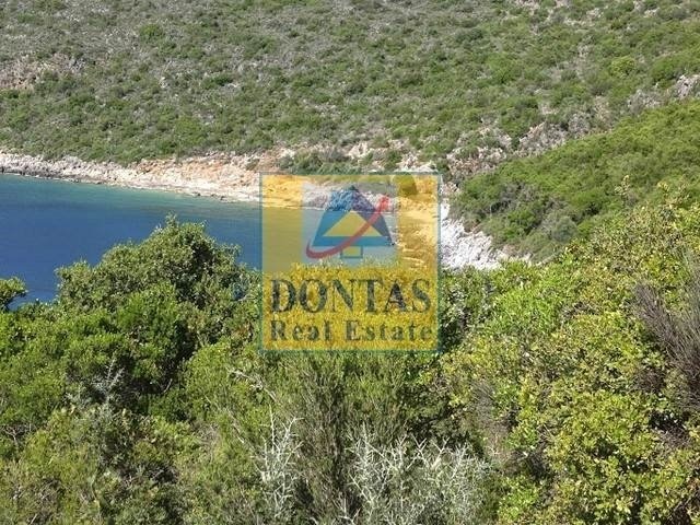 Land in Avia, Peloponnese, Western Greece and the Ionian, Greece 1 - 16155620