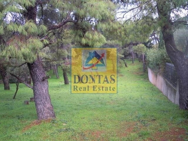 Land in Ekali, Attica, Greece 3 - 16155604