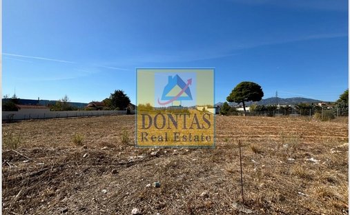 Land in Kryoneri Municipal Unit, Attica, Greece 1