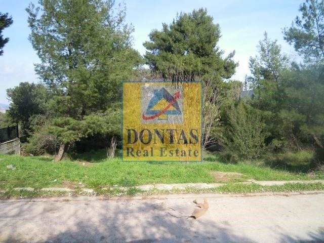 Land in Dionysos, Attica, Greece 4 - 16155541
