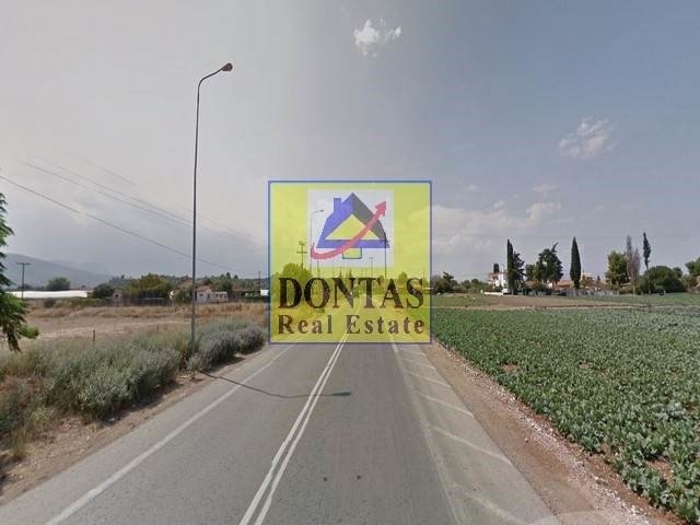 Land in Oropos, Attica, Greece 1 - 16155649