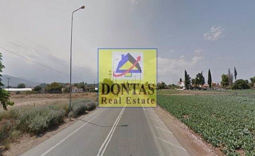 Land in Oropos, Attica, Greece 1