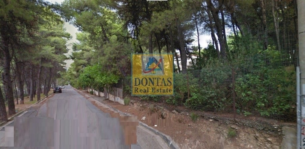 Land in Dionysos, Attica, Greece 2 - 16155911