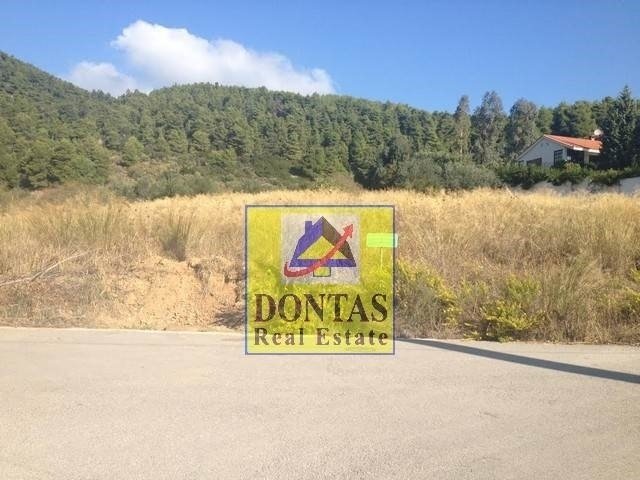 Land in Oropos, Attica, Greece 1 - 16155934