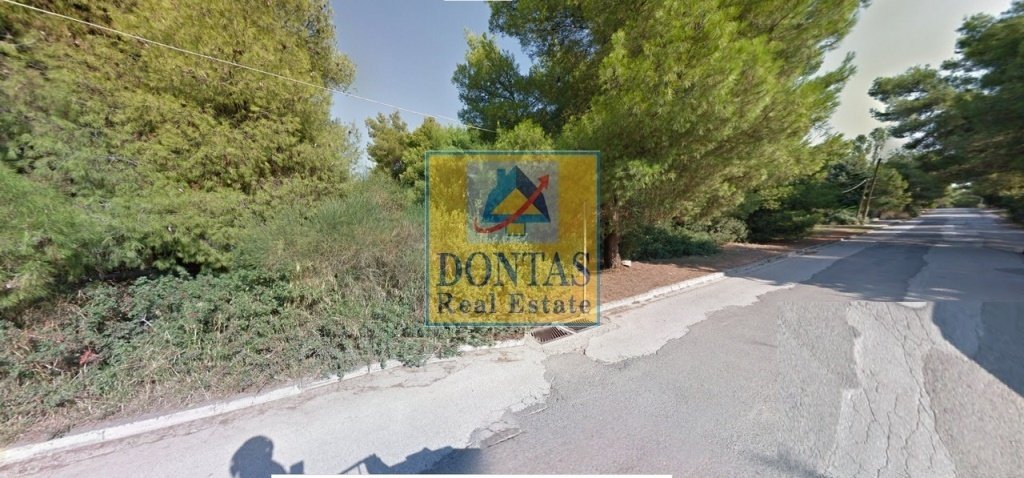 Land in Ekali, Attica, Greece 4 - 16155438