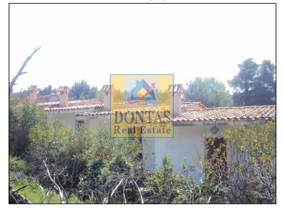 Land in Dionysos, Attica, Greece 5 - 16155919