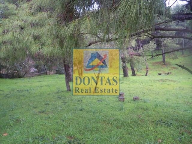Land in Ekali, Attica, Greece 1 - 16155604