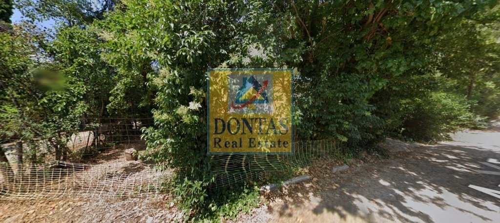 Land in Ekali, Attica, Greece 2 - 16155849