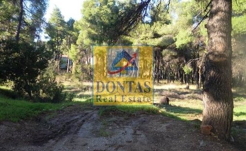Land in Dionysos, Attica, Greece 1
