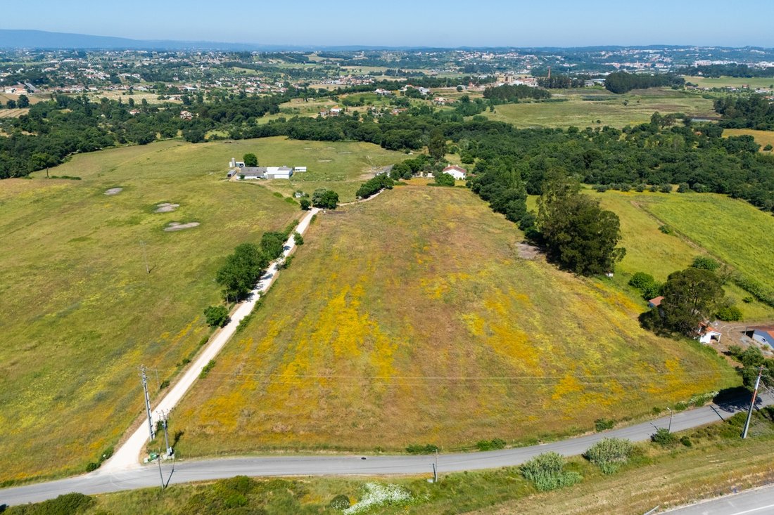 Land in Tomar (Sao Joao Baptista) e Santa Maria dos Olivais, Santarem District, Portugal 5 - 16155349